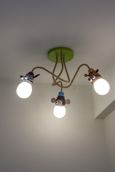 隨著環保概念逐漸趨高漲，選擇節能高效率的燈飾也成為