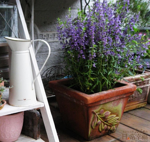 童年時的回憶，總圍繞著那擁有大花園的鄉間宅院。印象