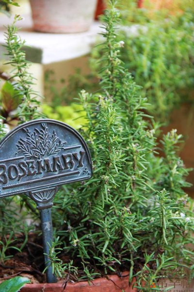 童年時的回憶，總圍繞著那擁有大花園的鄉間宅院。印象