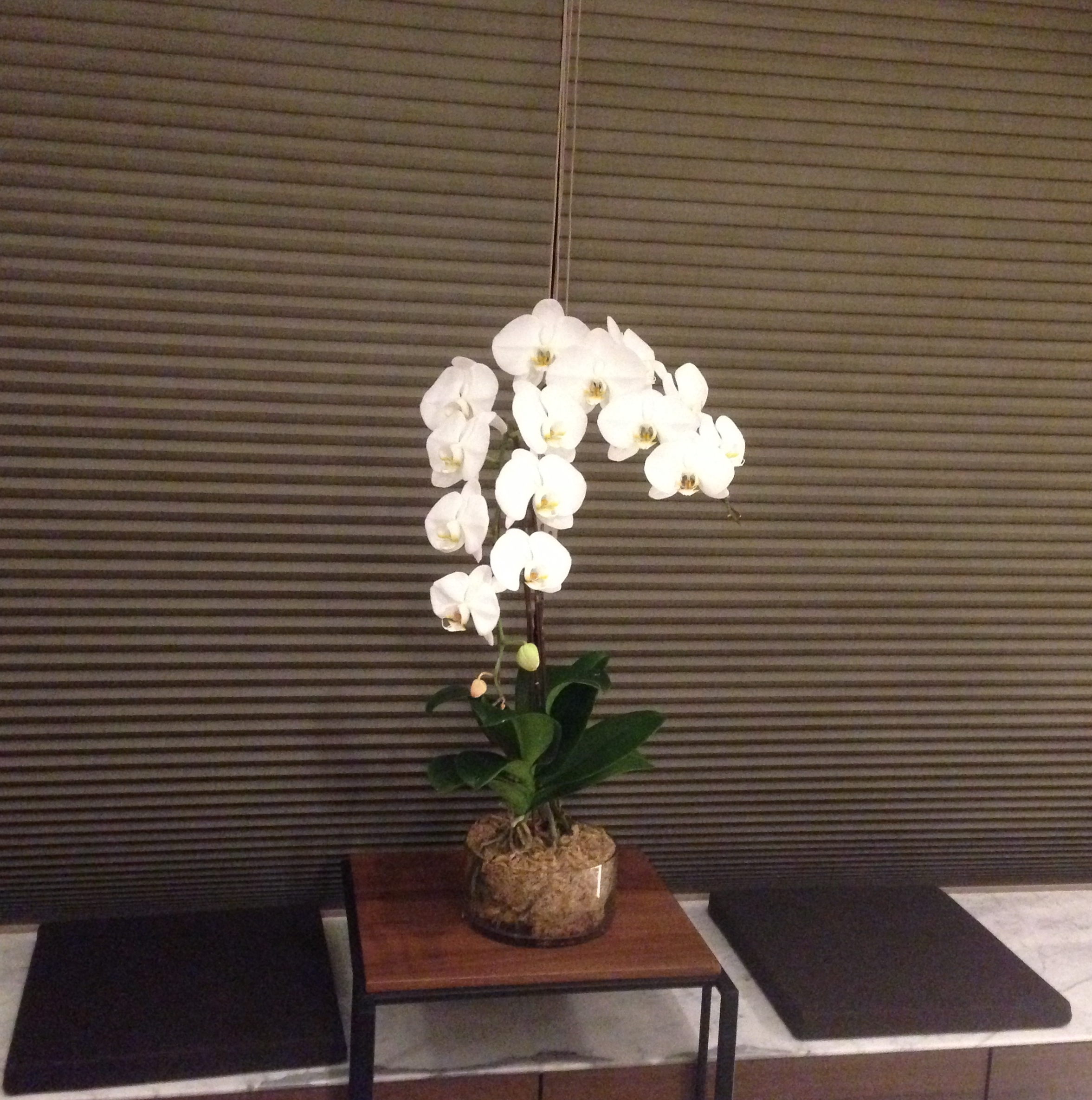 佈置品的擺設會讓家中的氣氛重新定調，因此，新年期間