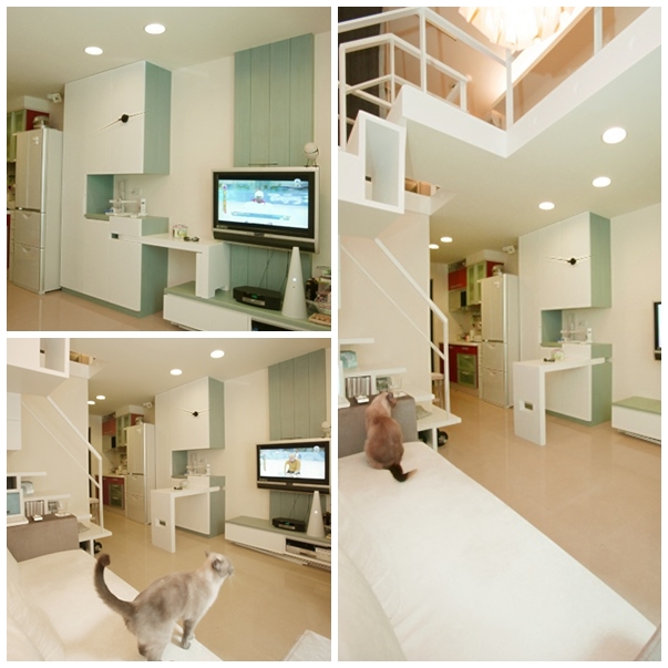 陳鶴元不僅是一名廣告創意人/空間設計者，也曾是一位