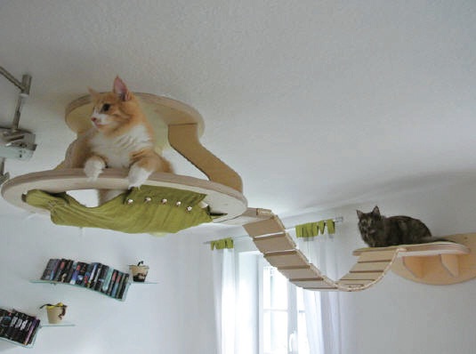 德國一名設計師Stefan Hofmann 為了給自家愛貓Mowgli 