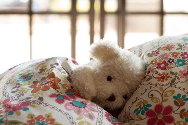 一年有好幾個月被皚皚白雪覆蓋的北歐，喜愛將大自然和