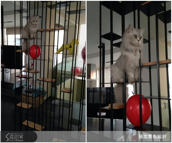 在現今的社會，也有愈來愈多家庭選擇與寵物一起生活，