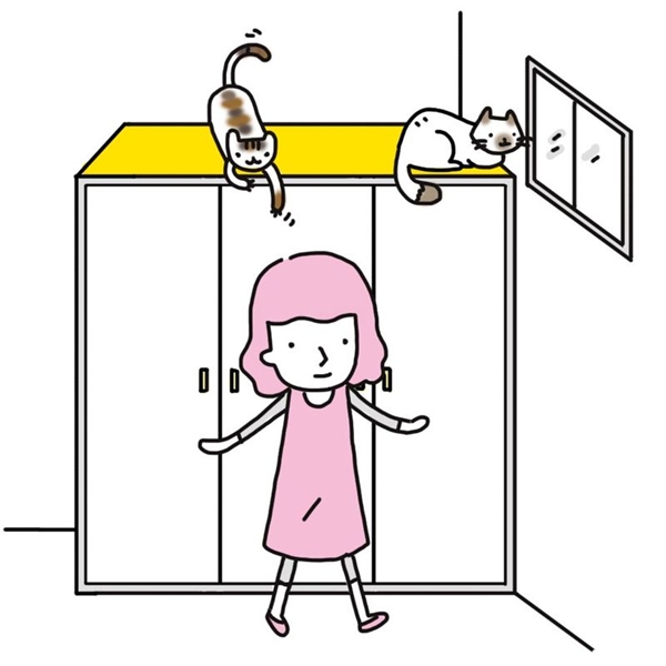 為什麼買了貓跳臺，貓咪卻很少上去？貓咪常常跳上櫃子