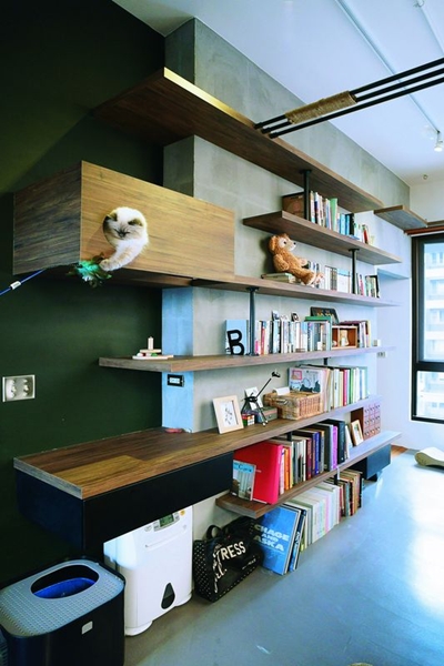 為什麼買了貓跳臺，貓咪卻很少上去？貓咪常常跳上櫃子