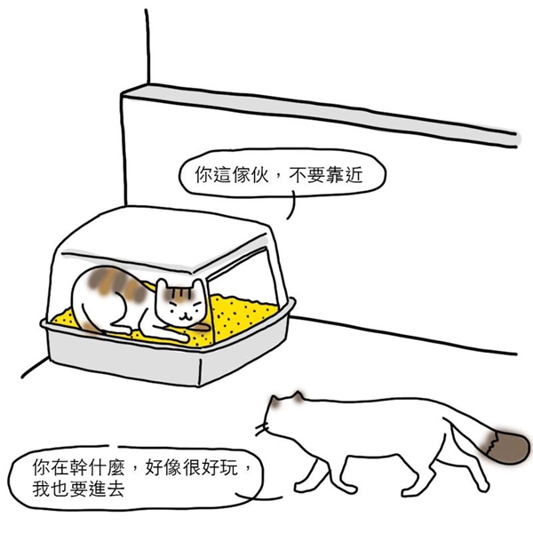 為什麼買了貓跳臺，貓咪卻很少上去？貓咪常常跳上櫃子