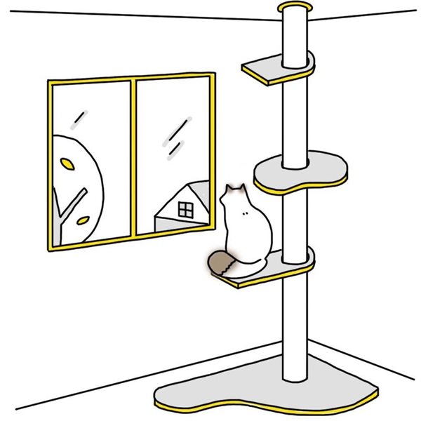 為什麼買了貓跳臺，貓咪卻很少上去？貓咪常常跳上櫃子