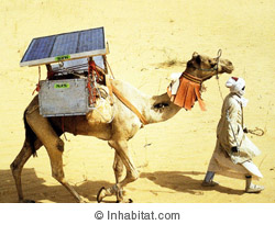 開始要為這篇報導作資料收集時，發現我們總是不經意地