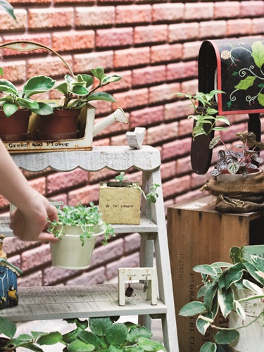 故事的開端，要從Grace對歐洲鄉村風的愛好說起，時間