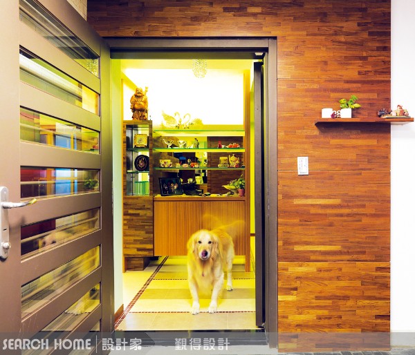 這年頭啊～～寧可不要小孩，也要在家裡養隻狗或貓！原