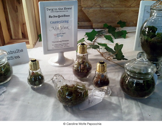 並非繁花盛開的季節裡，我們依舊渴望大自然！只需要準