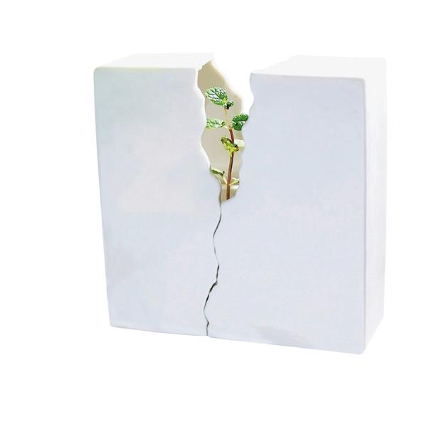 設計、島民、郭馥茗