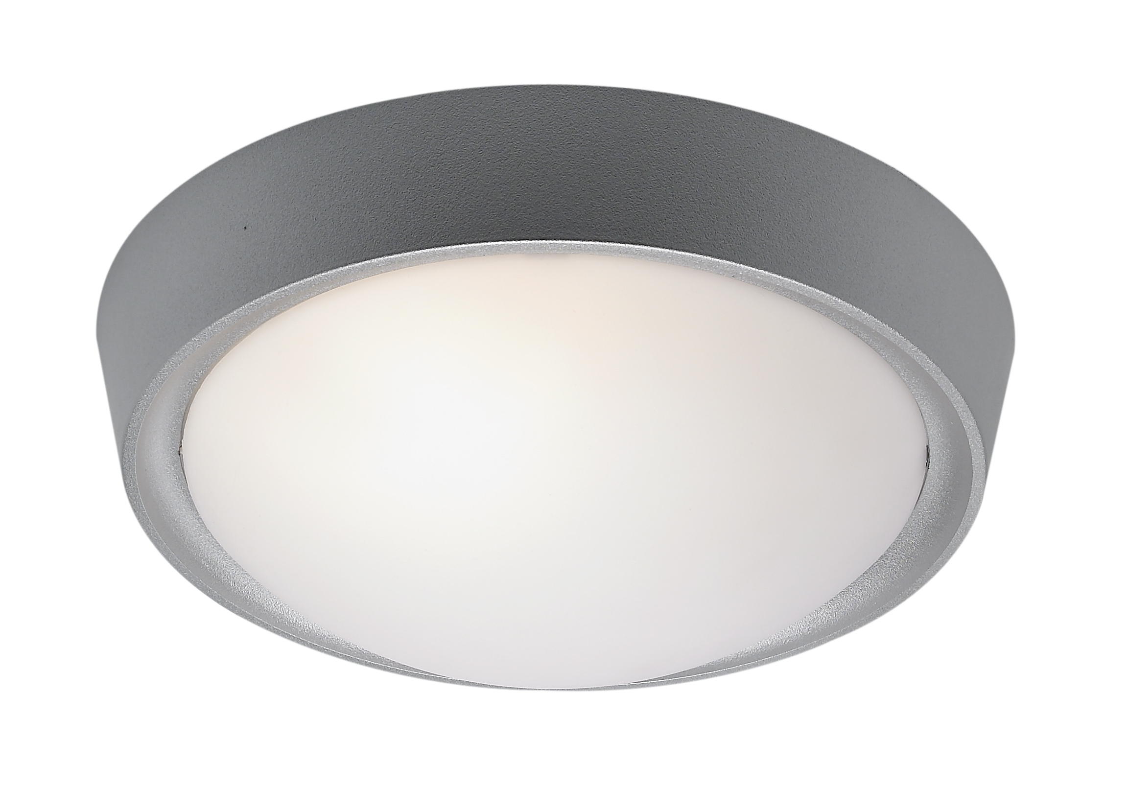 特力屋九家分店將於今年底進行燈具區局部改裝，改裝前