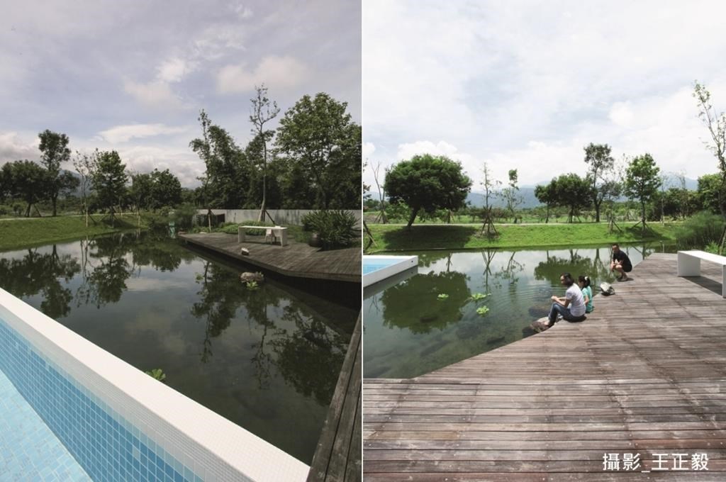 「無邊界泳池」概念應用於生態水池設計，去除人工框架，並適度保留原有生態樣貌。