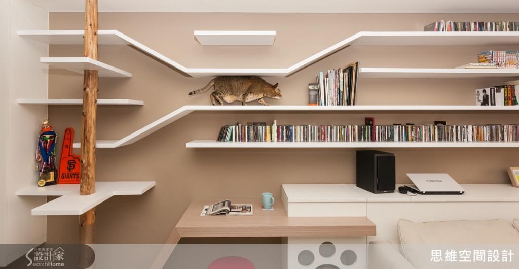 為心愛貓咪所設計的貓道和跳台，讓貓咪擁有充足的活動空間。