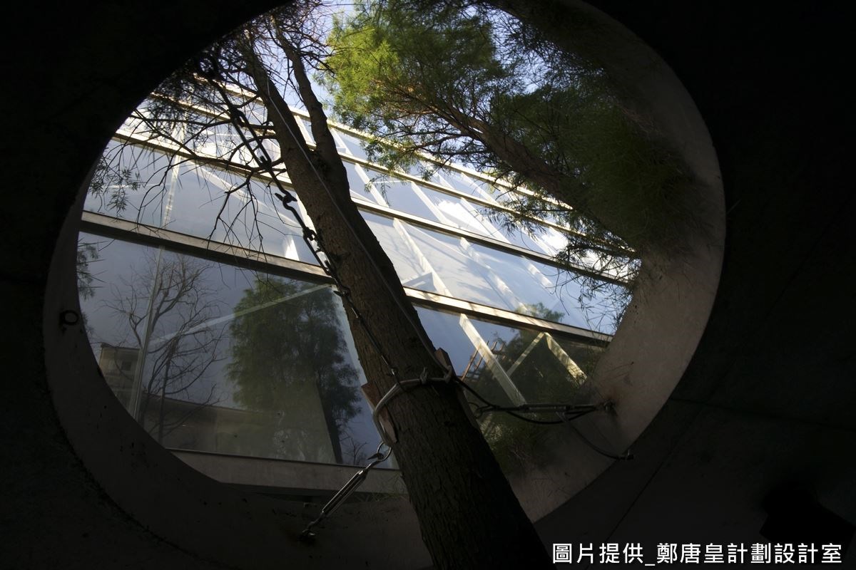 上方天花板還刻意挖空，讓樹木可從底部向上生長，抬頭往上看，頗有無限延伸的視覺趣意。