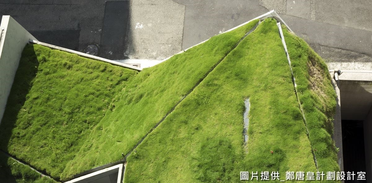 樹影、光線、水景， 90 坪的小天地，幾乎是一個大自然