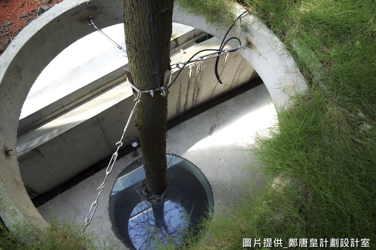 綠色草坪規劃特殊循環系統，分導雨水並可儲放水分，即便多天不下雨，也讓底部的樹木得以吸收水分，獲得灌溉。