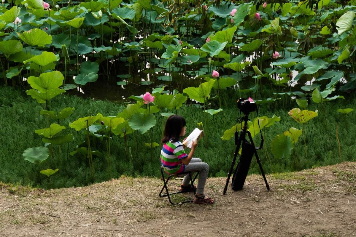 住在都市的高樓中，能擁有一面窗景，看到藍天，幾乎已
