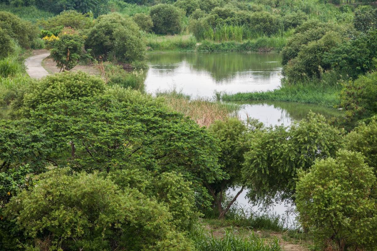 住在都市的高樓中，能擁有一面窗景，看到藍天，幾乎已