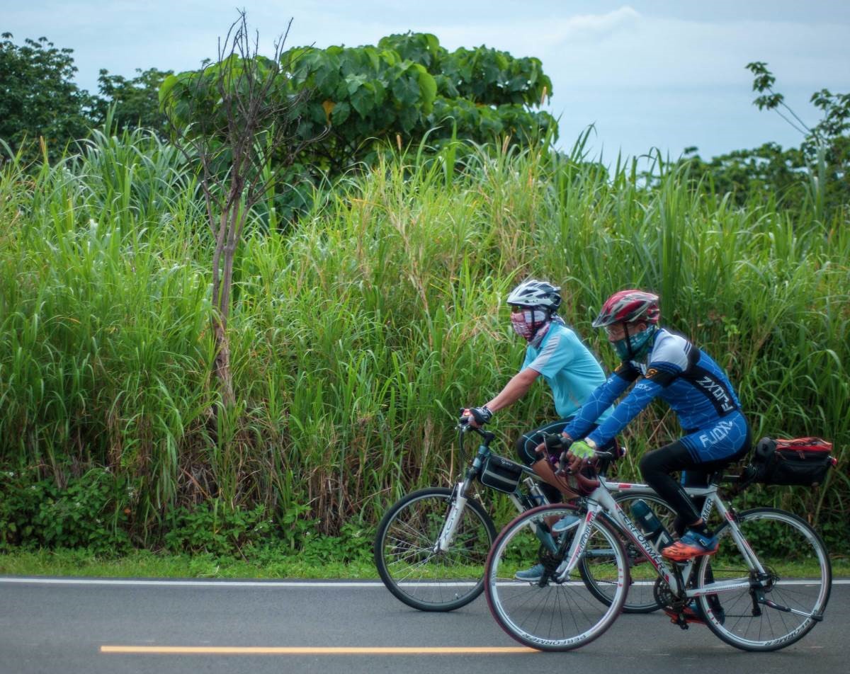 住在都市的高樓中，能擁有一面窗景，看到藍天，幾乎已