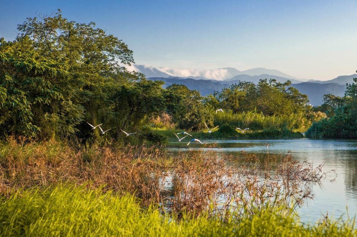 住在都市的高樓中，能擁有一面窗景，看到藍天，幾乎已