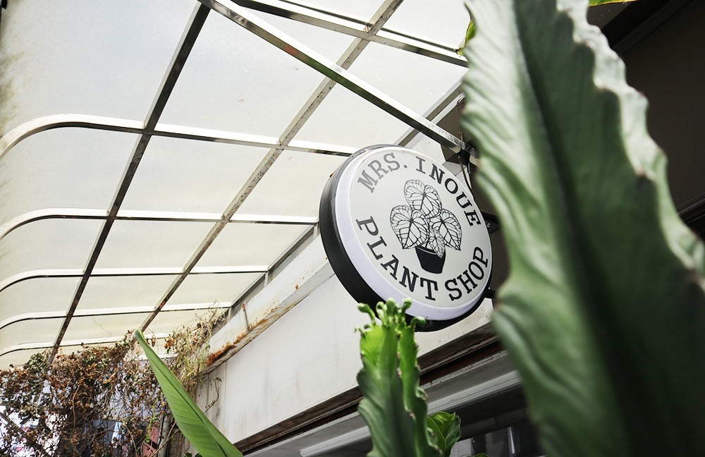 你是植物殺手嗎？還是覺得照顧植物好麻煩？不論是工作