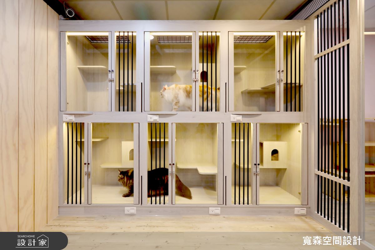 中古屋空間改造為寵物旅館，以工業風為基底，設計師除