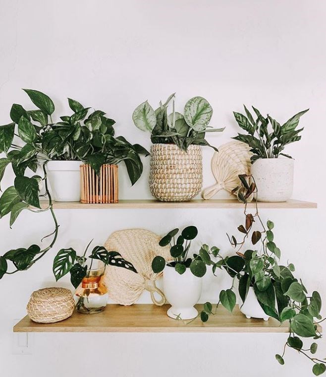 圖片來源 @cozy.happy.home