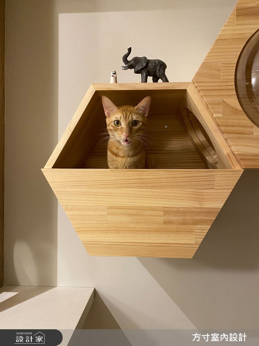 坪數不大就減少不必要的裝飾設計！21.5 坪新成屋在面