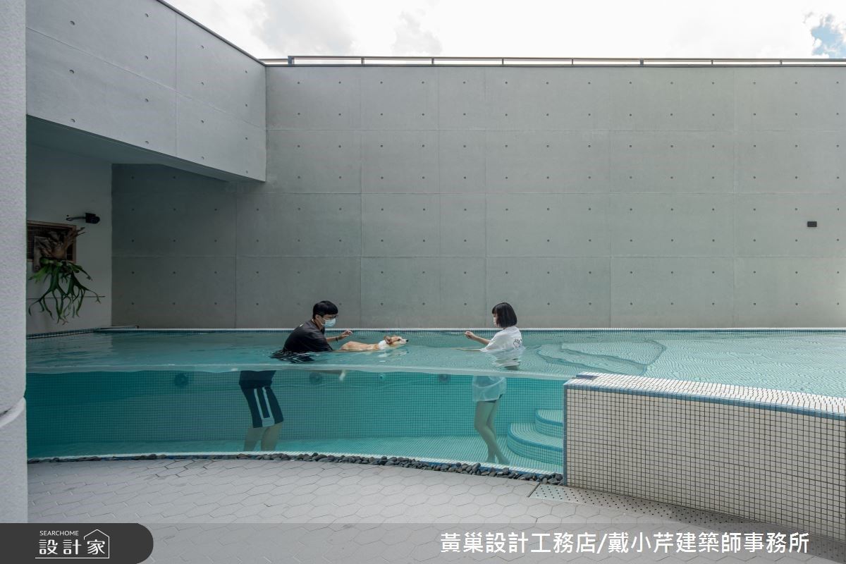 家有毛小孩總是充滿歡樂,早已被屋主視同家人的一員,