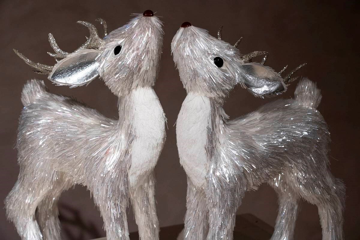 021年眨眼邁入尾聲,【寬庭美學】除了將旗艦展示場域-