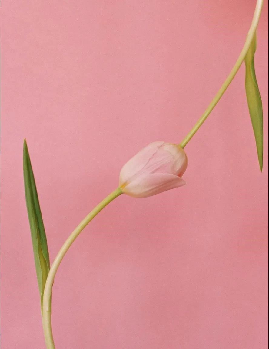 圍繞「設計引領、內外迴圈、全鏈協同」的全新定位2022