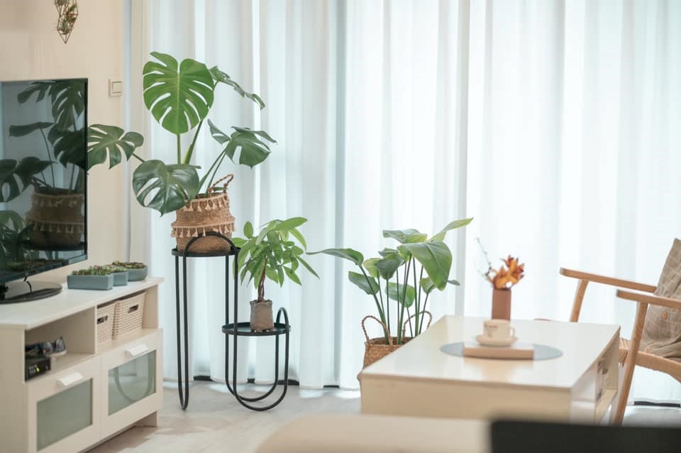 熱愛布置及攝影的網友Ashley Cheng當初在短時間內必須