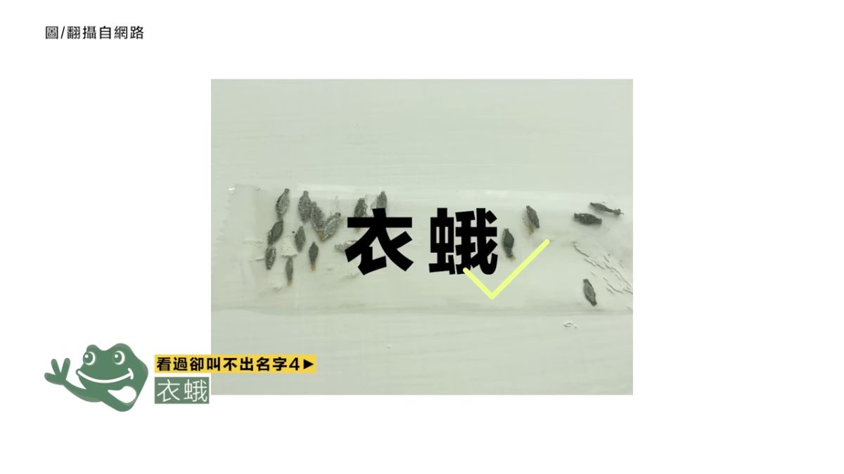 居家生活中，有很多常見卻不知名的物品，且不知道如何