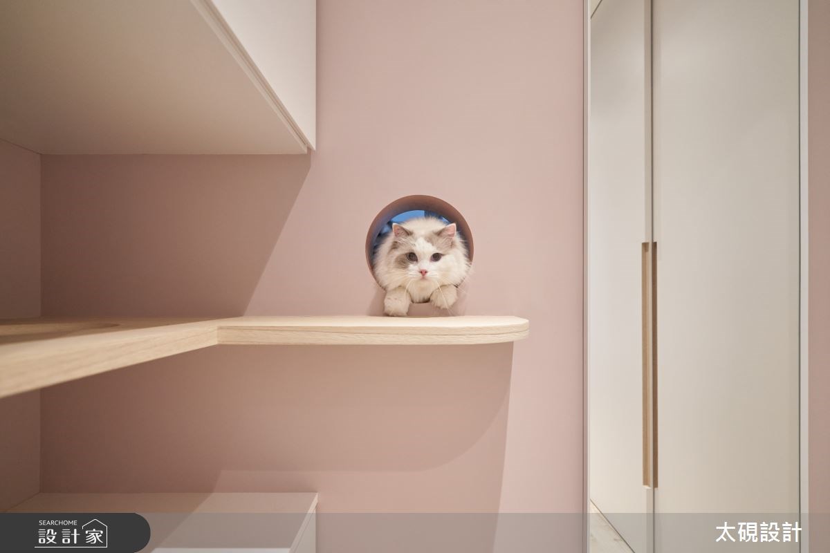 看更多案例圖片