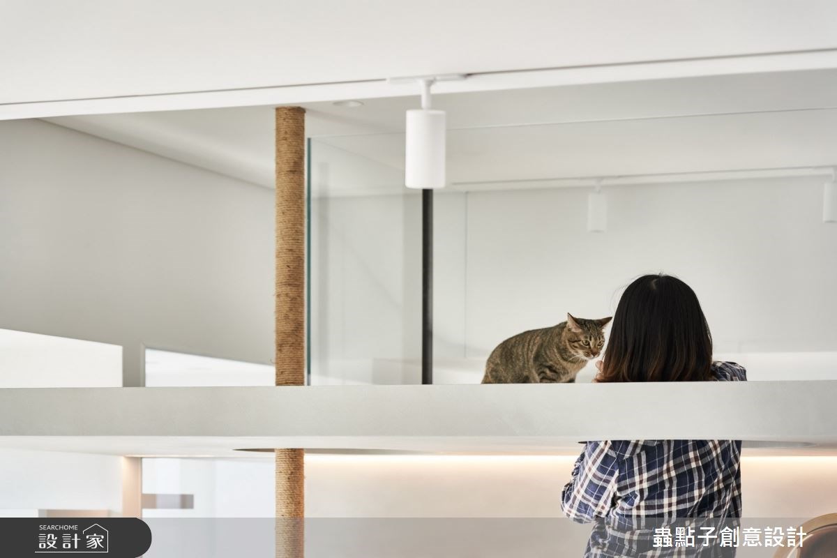 看更多案例圖片