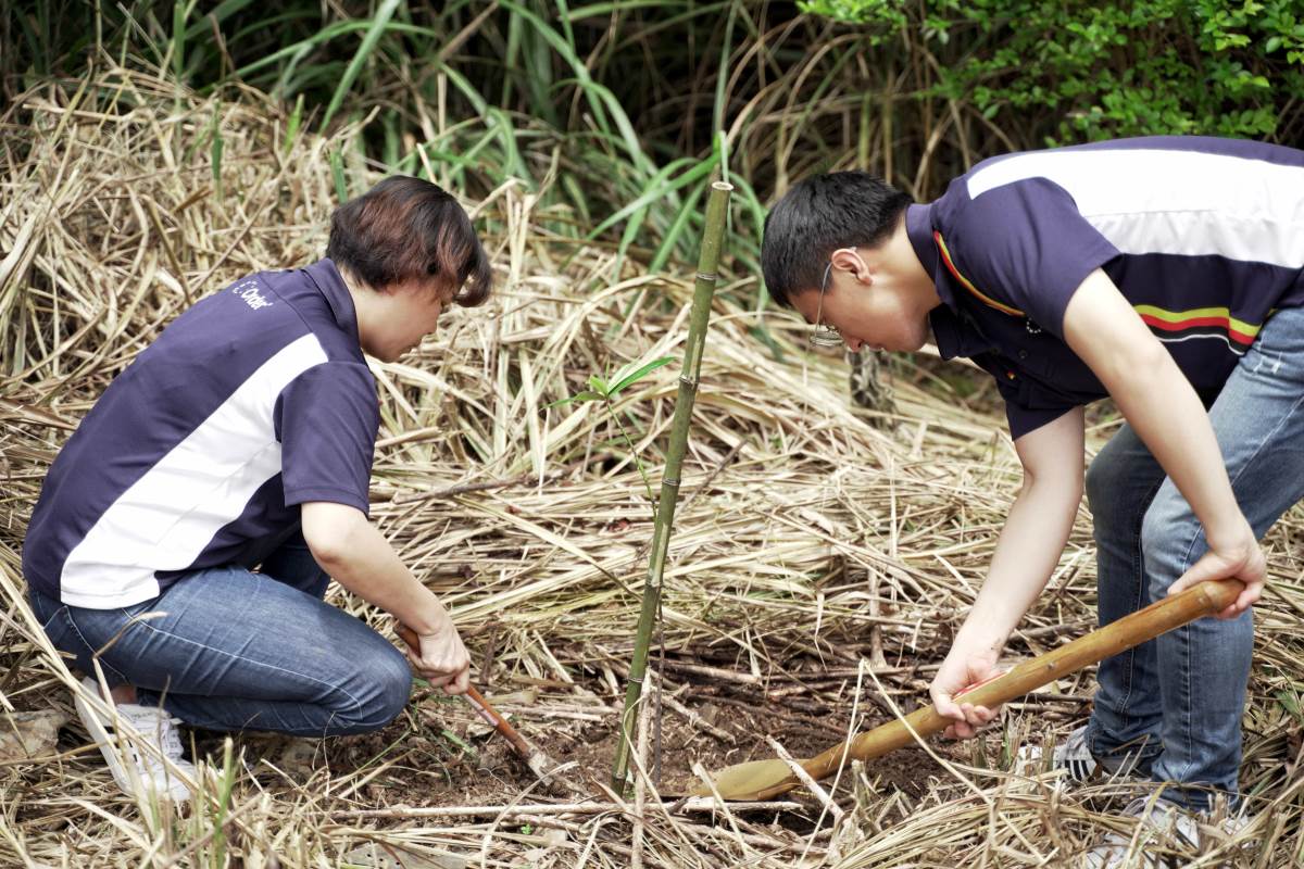 平時忙於居家裝潢的歐德設計師們,這次放下捲尺改拿鋤頭,親手種下樹苗,用實際行動守護台灣,造福後代子孫。