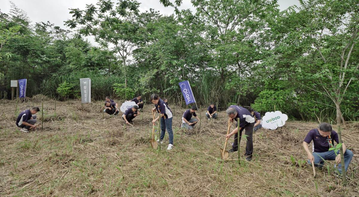 對抗氣候變遷最簡單有效的方式就是「種樹」,「歐德集團百林計畫」以種植 100 座樹林為使命,守護地球不遺餘力。