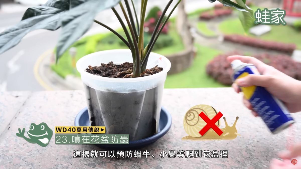 WD40秘技23:花盆防蟲