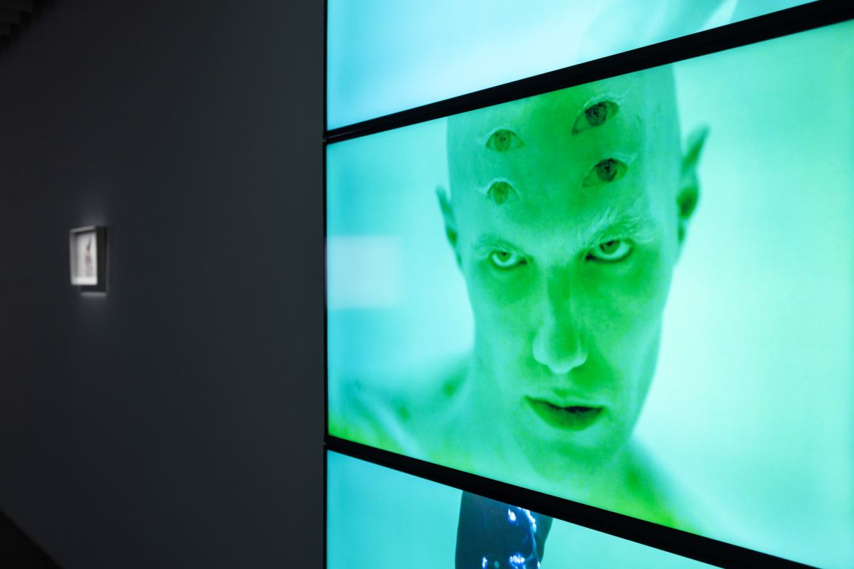 蘇匯宇〈The White Waters〉三頻道錄像作品中人、蛇異種的身體流動,解構生物界的邊界 ©忠泰美術館