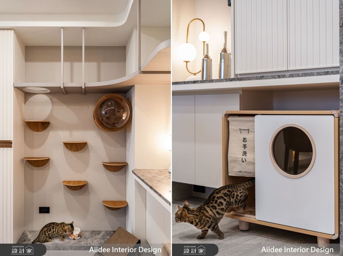 餐廳牆面規劃貓跳台及空中貓走道,滿足屋主與愛貓共享生活場域。