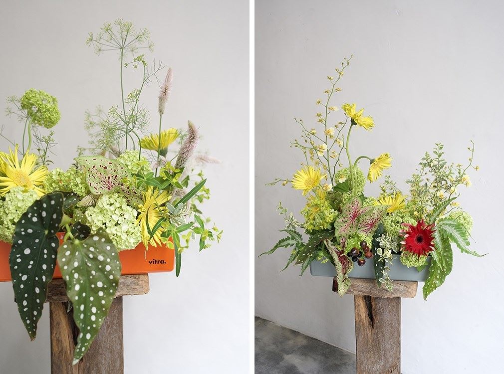 北歐櫥窗 x 如露 推出仲夏花藝工作坊，將 Vitra 新裝登場經典單品《ToolBox RE 提著走小物收納盒》賦予全新使用概念，以經典的收納盒作為信手捻來的花器，邀請對於盆栽與花卉有興趣的人，一起手作專屬北歐享仲夏盆花。