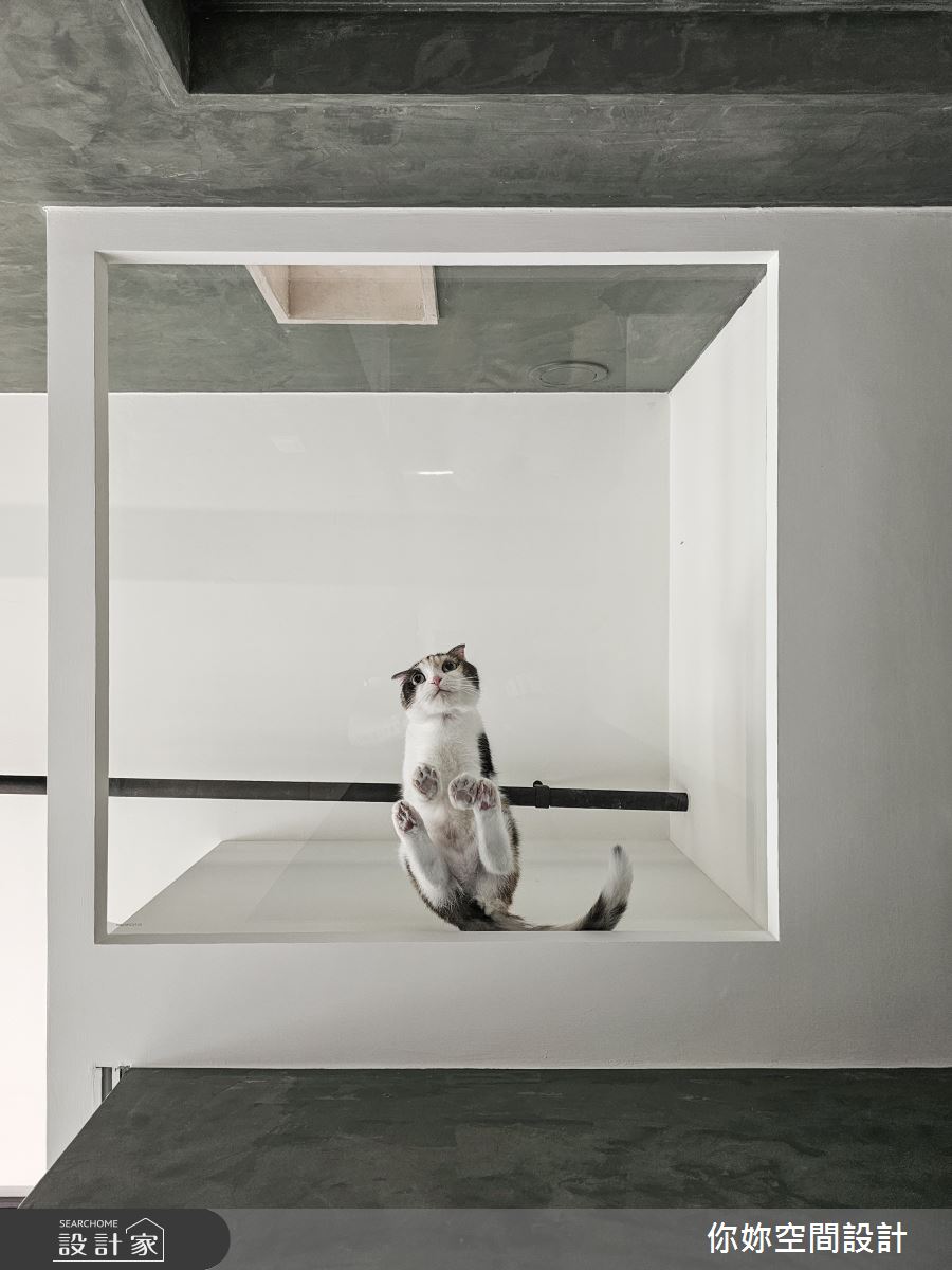 主臥室的天花畸零處作為貓咪的瞭望台,玻璃的擋板設計,增加貓咪行走時的趣味程度,主人也能看著貓咪球被療癒。