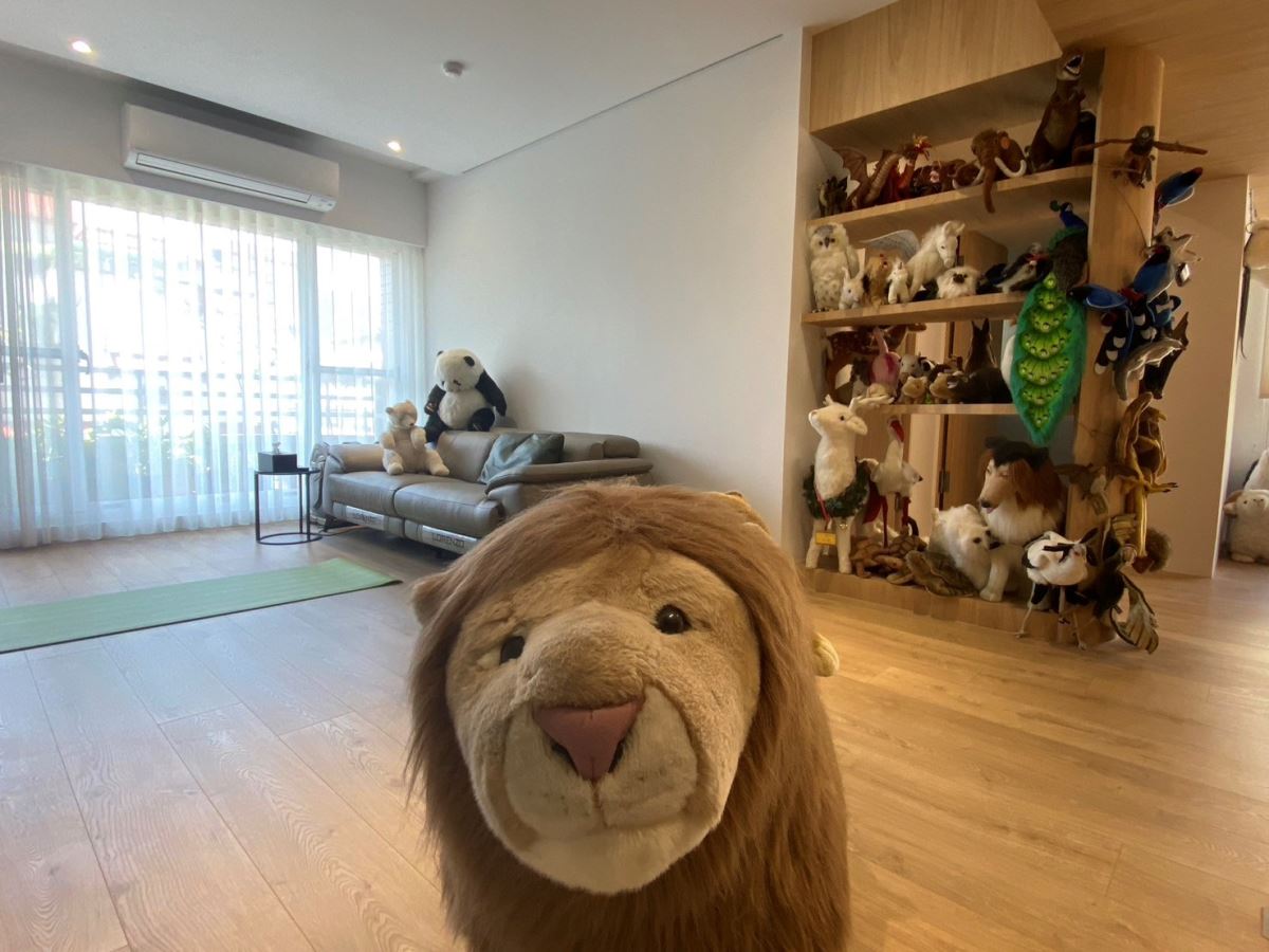 屋主入住後提供之生活照，表現開闊並具有溫暖光線的公領域。