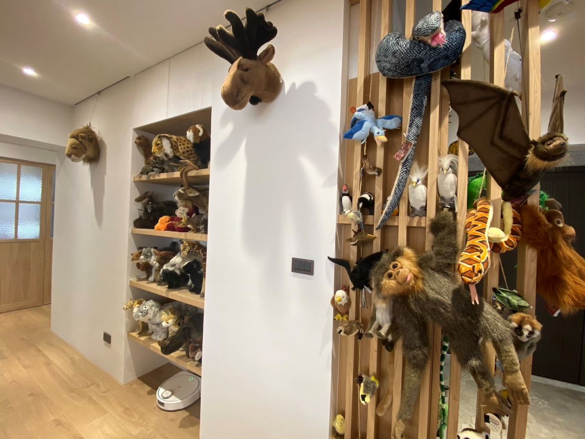 屋主入住後提供之生活照，玄關格柵與走道均可展示玩偶收藏。