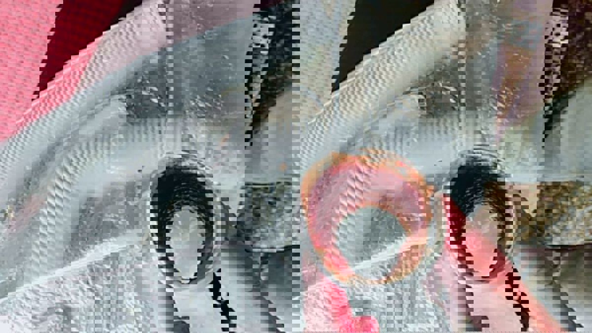 1. 排水管用久了,軟管內壁有可能已經累積很多油垢,清理方式可按壓外壁讓油垢破裂並用水柱直沖管內讓油垢排出,或用市售的水管疏通劑清理管壁汙垢,不然就把軟管整支換掉最乾淨。