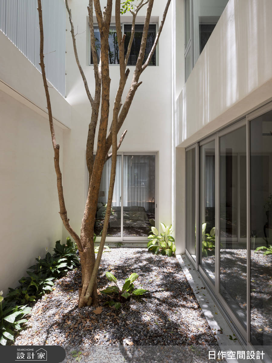 以「家族主樹」為概念,在中庭種下一棵光蠟樹,把日光與綠意自然注入室內,成為全宅的核心風景。