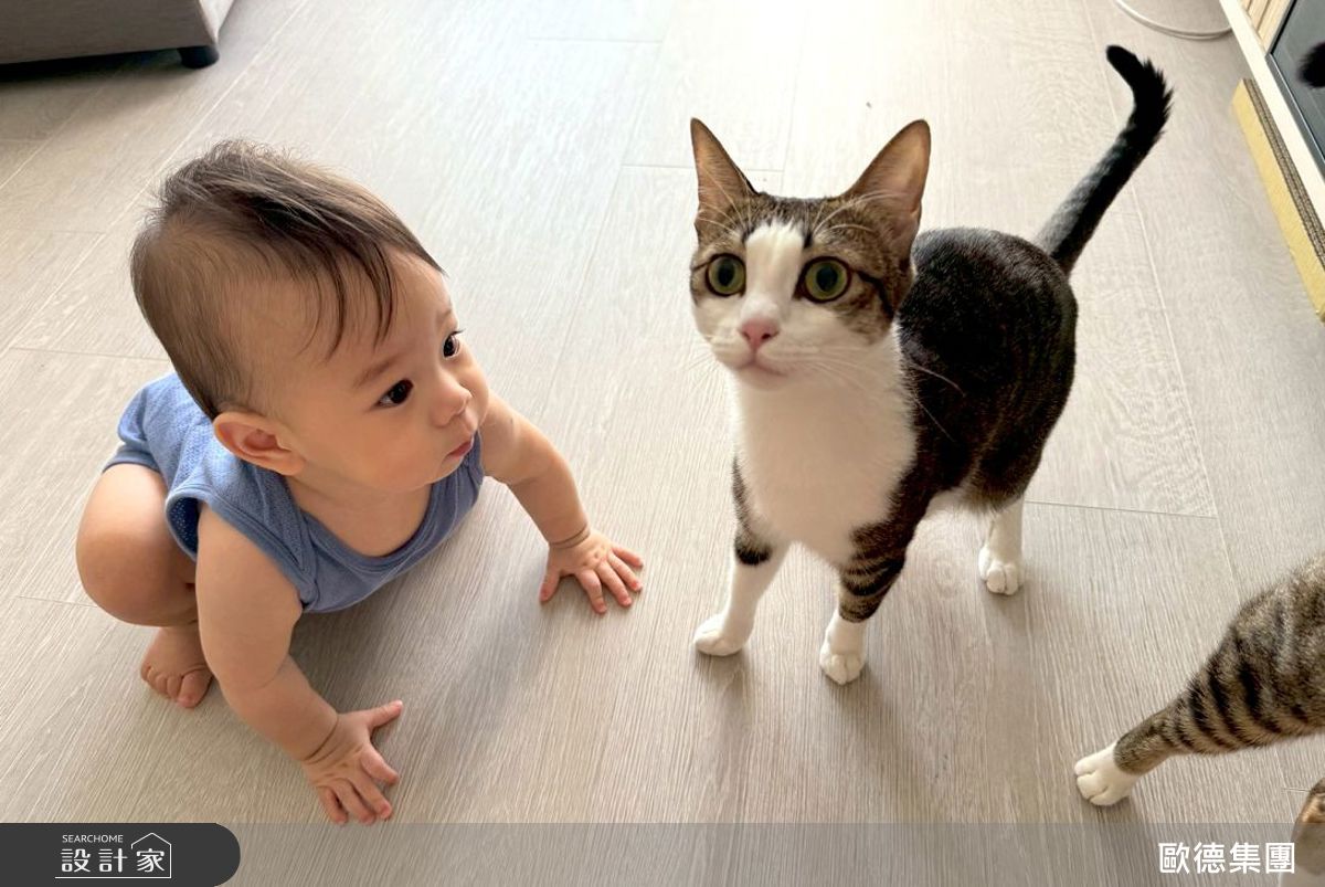 舖設榮獲綠建材標章「 Order floor 超耐磨木地板」，止滑耐磨好清潔，降噪20db以上，孩寵可以隨意跑跳玩耍，讓Tracy好安心。